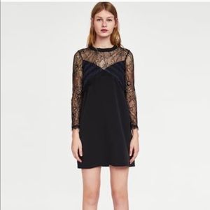 NWT ZARA A line dress with lace and ribbed collar